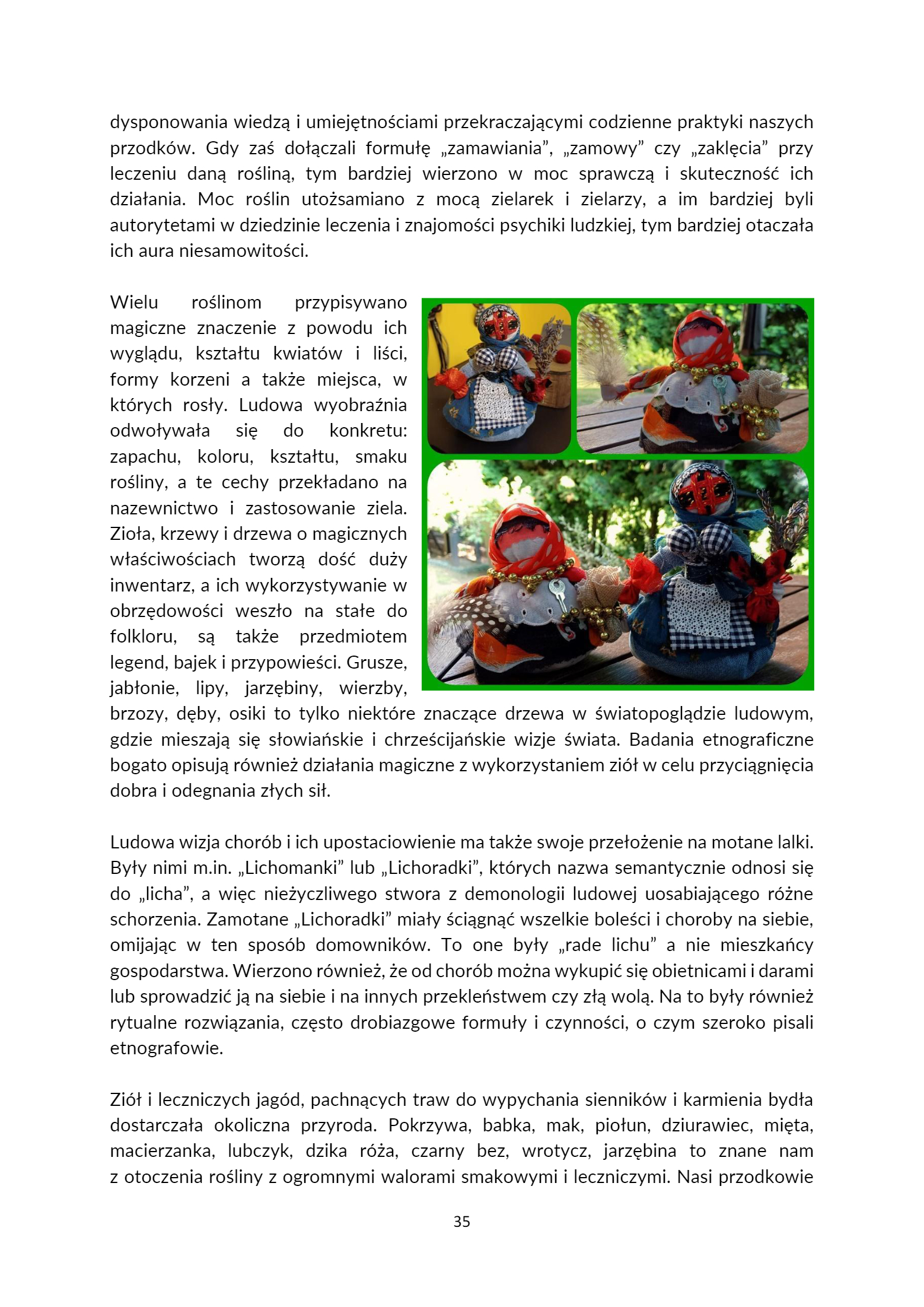 MOTECZNIK – AGRARNE KOŁO ROKU PROGRAM ANIMACYJNO-E - strona 35